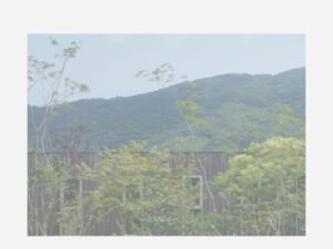 有限会社四国造園(I’m Garden) ロゴ